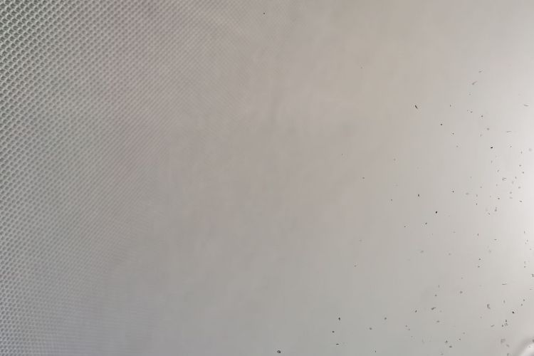 东风风神AX3 2016款 1.5L 自动尚酷型局部细节22