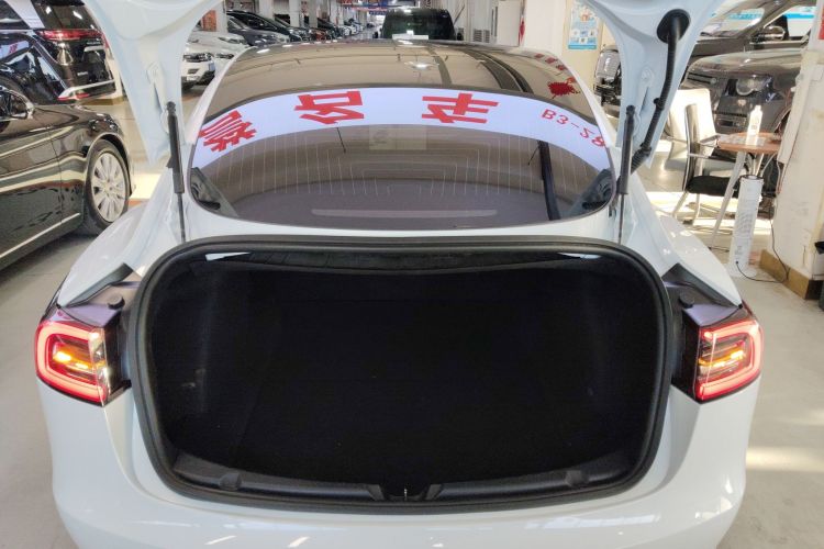 特斯拉 Model 3 2020款 标准续航后驱升级版机舱底盘23