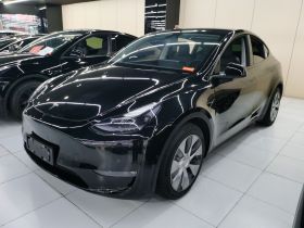 特斯拉 Model Y 2021款 标准续航后驱版