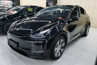 特斯拉 Model Y 2021款 标准续航后驱版