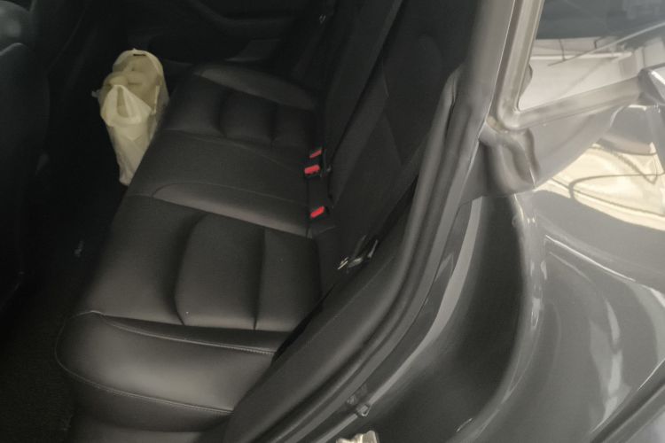 特斯拉 Model 3 2019款 标准续航后驱升级版中控内饰7004