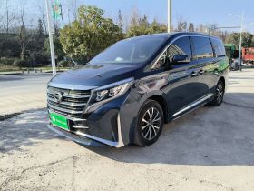 广汽传祺 传祺M8 2021款 领秀系列 390T 豪华版