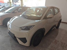 比亚迪 海鸥 2025款 智驾版 305km 活力版