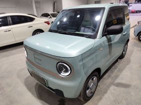 吉利银河 2023款 熊猫mini 200km 耐力熊