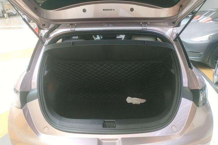 比亚迪 海豚 2021款 405km 时尚版局部细节23