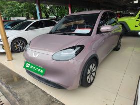 五菱汽车 五菱缤果 2023款 333km 悦享+款