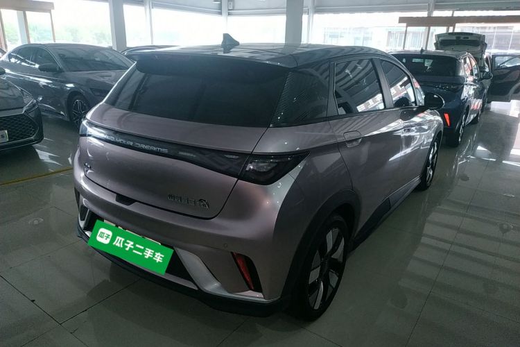 比亚迪 海豚 2021款 401km 骑士版车身外观6005