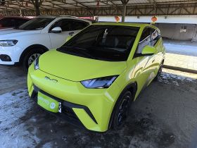 比亚迪 海鸥 2023款 自由版