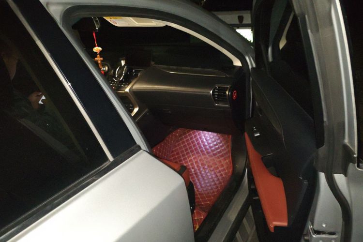 雷克萨斯NX 2015款 200t 全驱 锋尚版局部细节9005