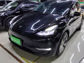 特斯拉 Model Y 2021款 长续航全轮驱动版 3D7