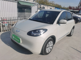 五菱汽车 五菱缤果 2023款 203km 轻享款