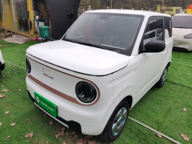 吉利银河 2024款 熊猫mini 200km 耐力熊