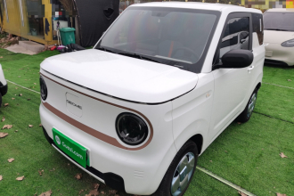 吉利银河 2024款 熊猫mini 200km 耐力熊