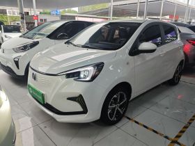 长安欧尚 奔奔E-Star 2020款 心动版 磷酸铁锂（31.95kWh）