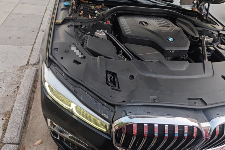 宝马7系 2019款 730Li 豪华套装局部细节9006