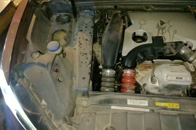 DS 6 2014款 1.6T 豪华版THP160局部细节9006