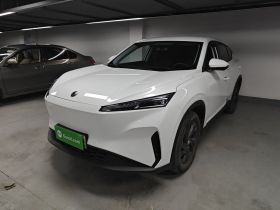 东风风神 SKY EV01 2023款 445km PRO