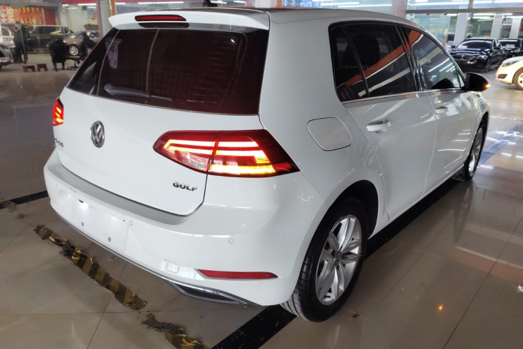 大众 高尔夫 2019款 1.6L 自动舒适型 国V车身外观6005