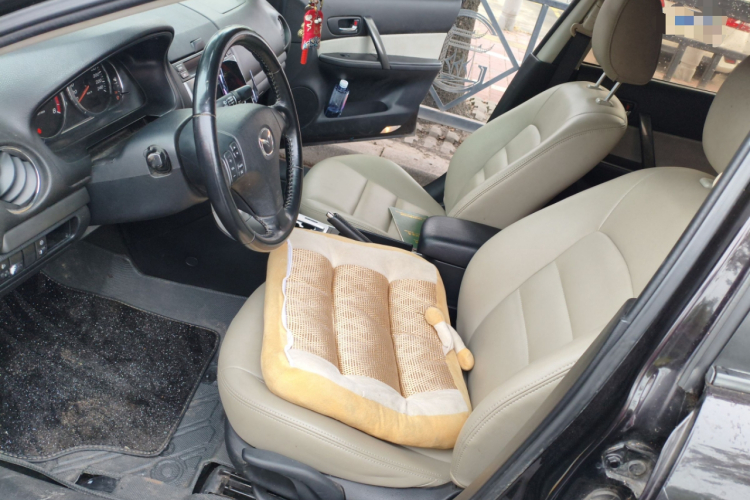 马自达6 2013款 2.0L 自动时尚型局部细节19