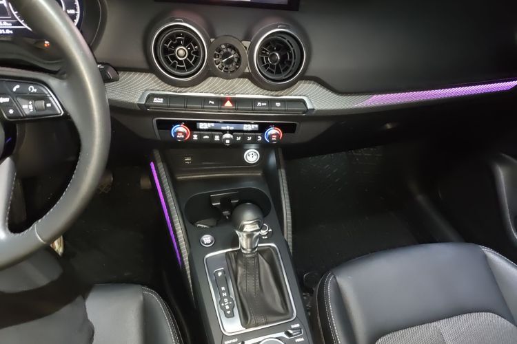 奥迪Q2L e-tron 2019款 Q2L e-tron 纯电智酷型局部细节18