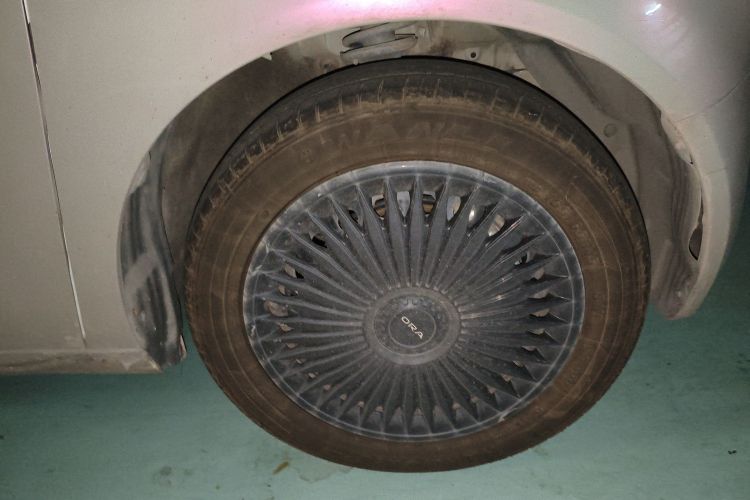 欧拉黑猫 2021款 301km 基础型车身外观6007