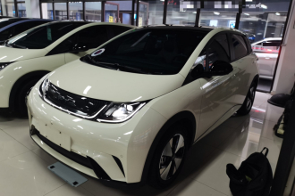 比亚迪 海豚 2023款 420km 时尚版