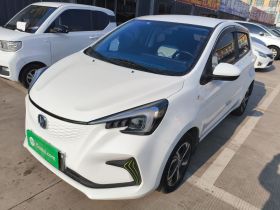 长安欧尚 奔奔E-Star 2022款 清心版 多彩款 磷酸铁锂