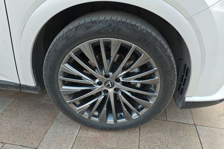 雷克萨斯RX 2023款 350h 四驱醇享版车身外观10