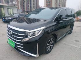 广汽传祺 传祺M8 2024款 领秀系列 390T 豪华版