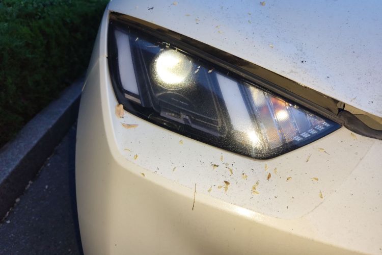 比亚迪 海鸥 2025款 305km 活力版车身外观6006