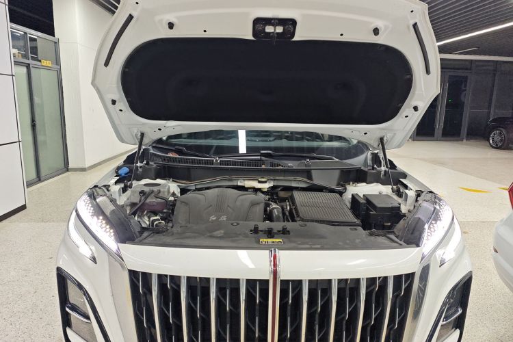 红旗HS3 PHEV 2024款 PHEV 115km 劲为版局部细节24