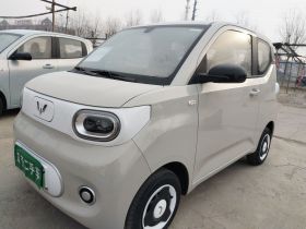 五菱汽车 宏光MINIEV 2024款 第三代 215km 青春版