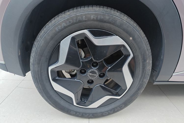 比亚迪 海豚 2021款 405km 时尚版车身外观6008