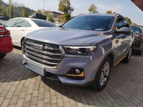 哈弗H6 2021款 国潮版 1.5T 自动冠军版