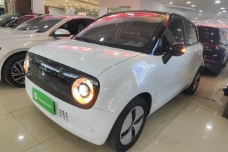 欧拉黑猫 2021款 301km 基础型