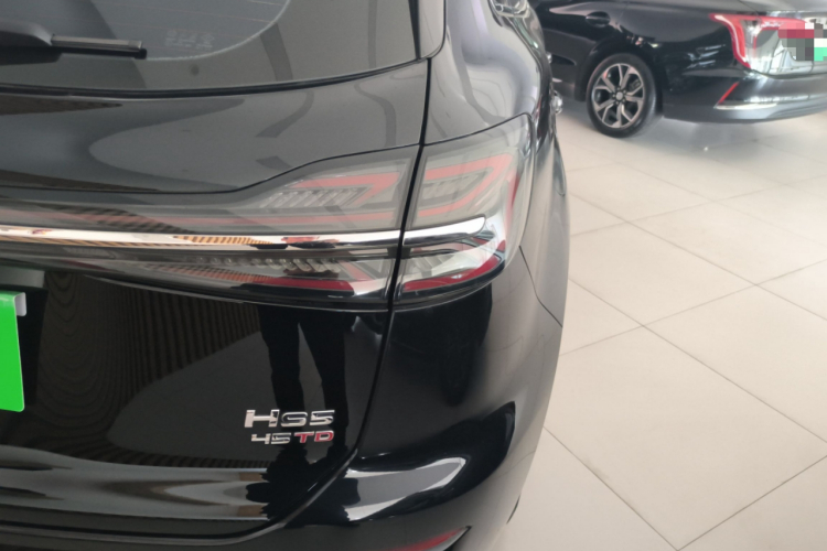 红旗HS5 2023款 2.0T 旗享Pro版车身外观9