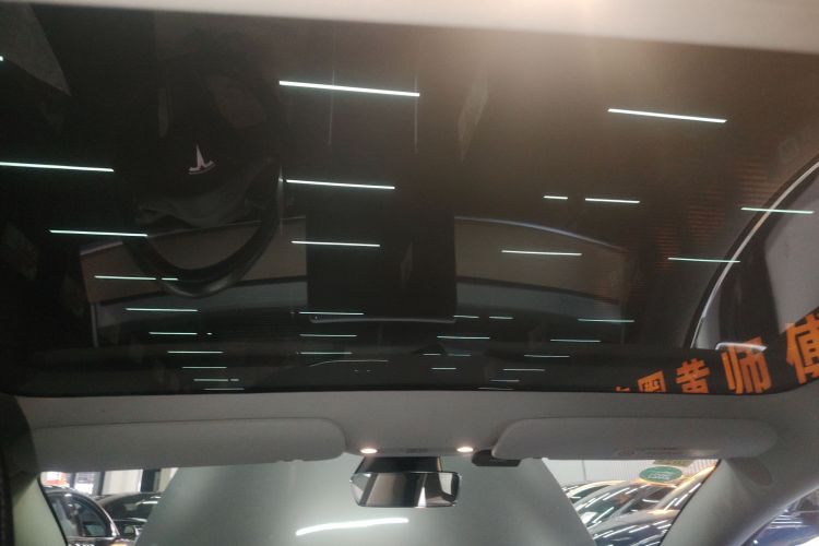 特斯拉 Model 3(进口) 2019款 长续航后驱版局部细节22