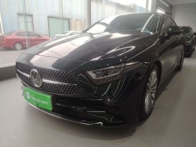 奔驰CLS 2023款 CLS 300 动感型