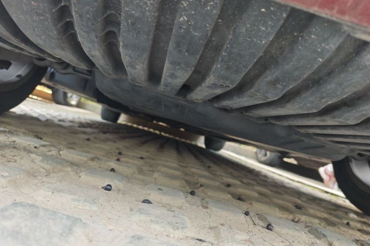 奔驰C级 2016款 C 200 L 运动型局部细节9008