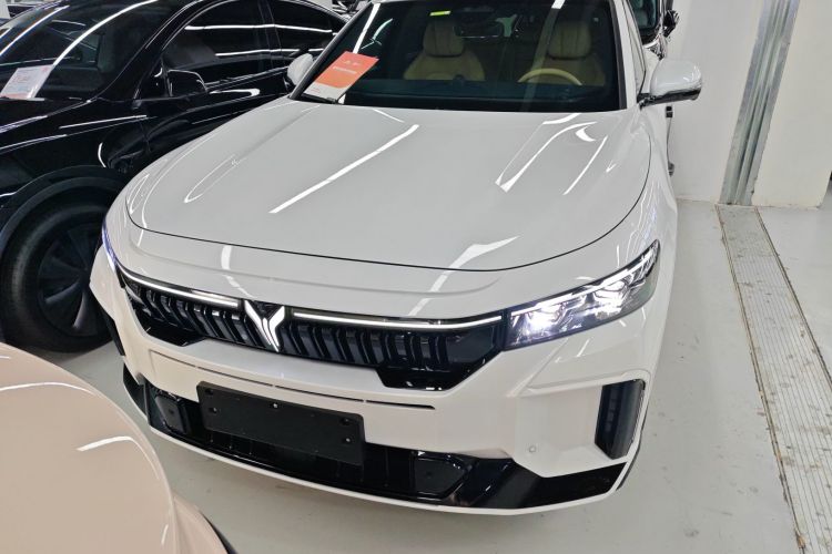 岚图汽车 岚图FREE 2024款 超长续航智驾版车身外观6001