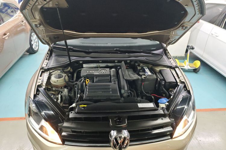 大众 高尔夫 2017款 230TSI 自动豪华百万辆纪念版局部细节24