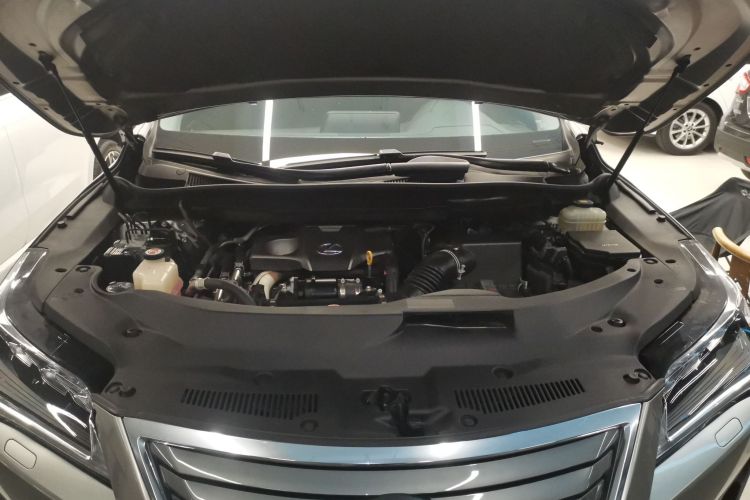 雷克萨斯RX 2016款 300 四驱典雅版 国VI机舱底盘24