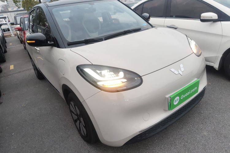 五菱汽车 五菱缤果 2024款 333km 灵犀互联款车身外观6002