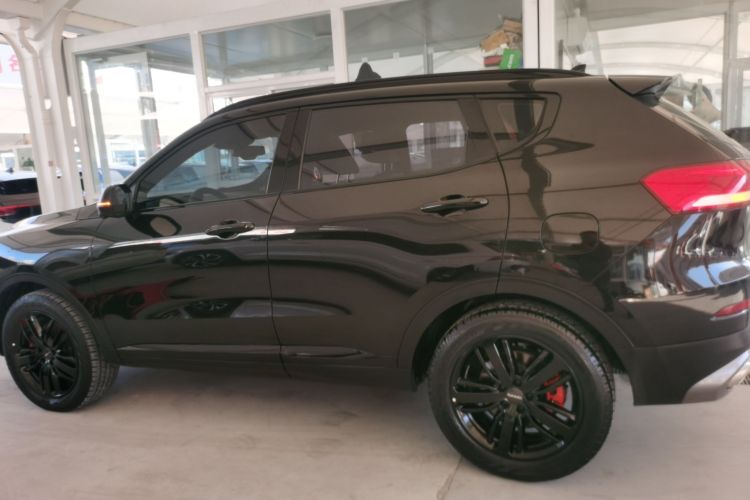 哈弗H6 2020款 2.0GDIT 自动GT冠军版车身外观4