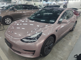 特斯拉 Model 3(进口) 2019款 标准续航后驱升级版(52度)