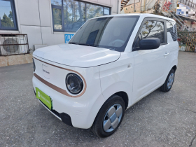 吉利银河 2024款 熊猫mini 200km 耐力熊