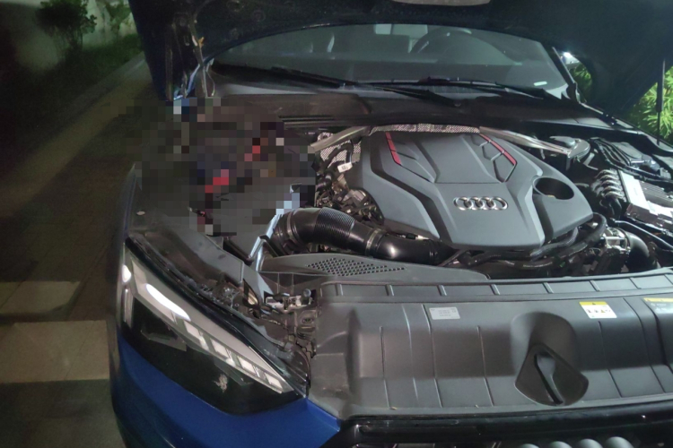 奥迪S5 2023款 S5 3.0T Coupe局部细节9006