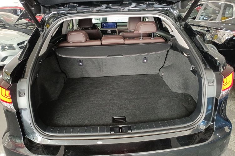 雷克萨斯RX 2021款 300 四驱特别版局部细节23