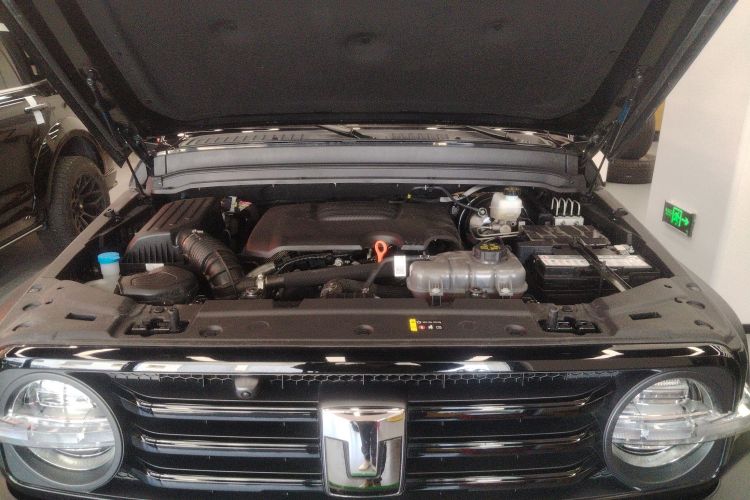 坦克300 2024款 2.0T 征服者机舱底盘24