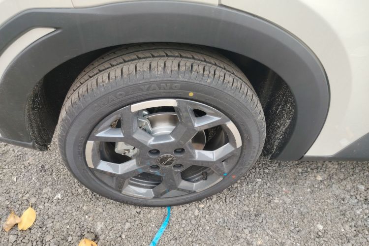 比亚迪 海鸥 2025款 305km 自由版车身外观6008